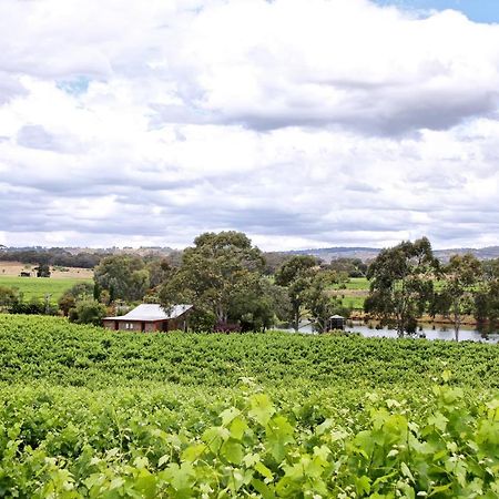 Stonewell Cottages And Vineyards تانوندا المظهر الخارجي الصورة