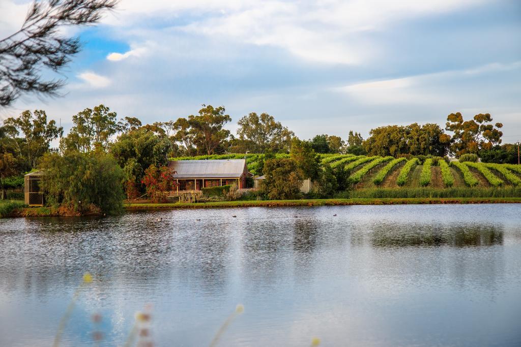 Stonewell Cottages And Vineyards تانوندا المظهر الخارجي الصورة
