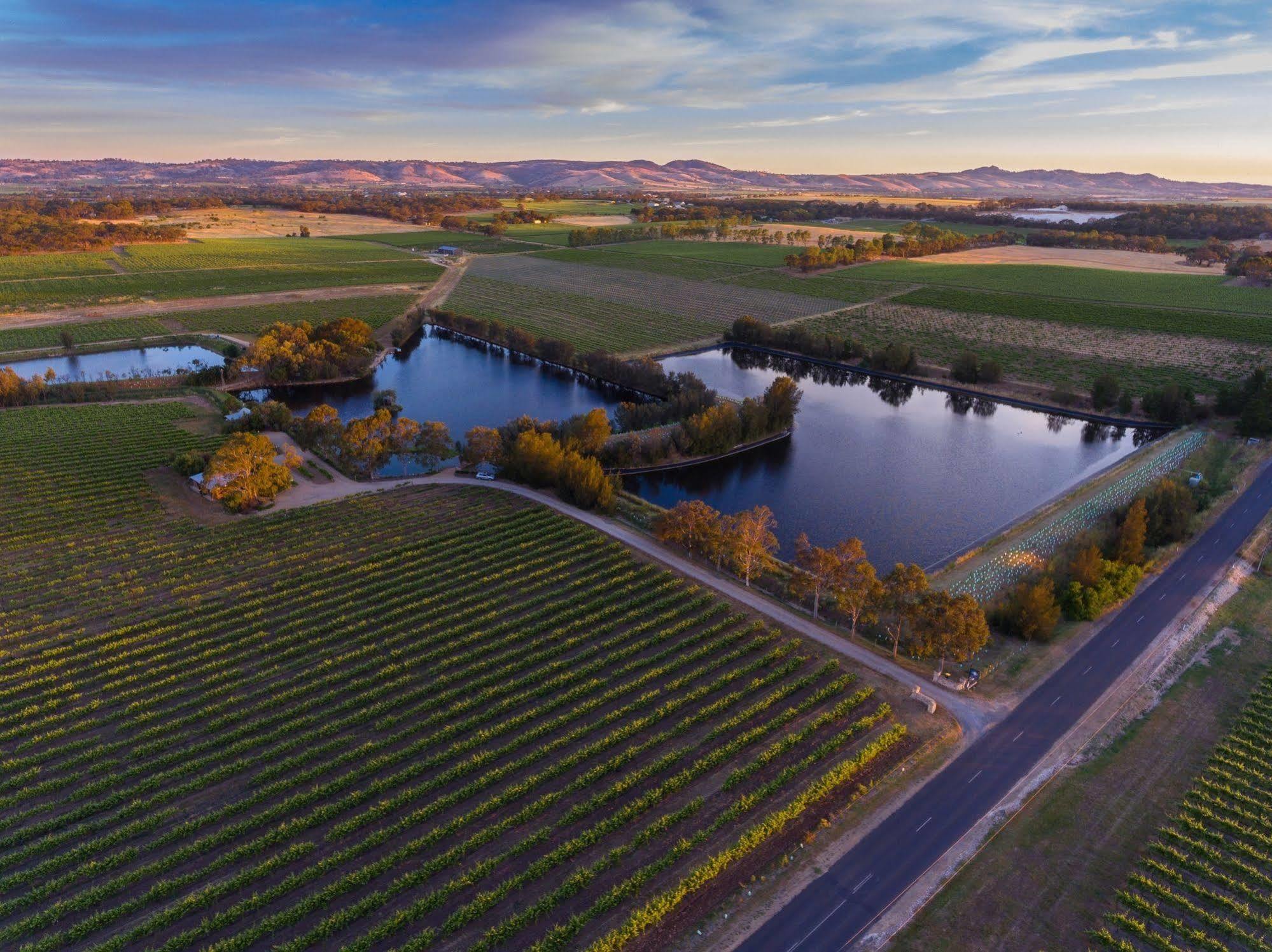 Stonewell Cottages And Vineyards تانوندا المظهر الخارجي الصورة